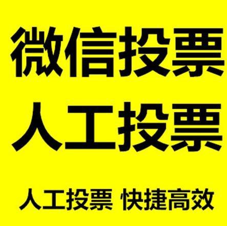 金门县投票活动拉票能被查出来吗？如何操作能不被发现？